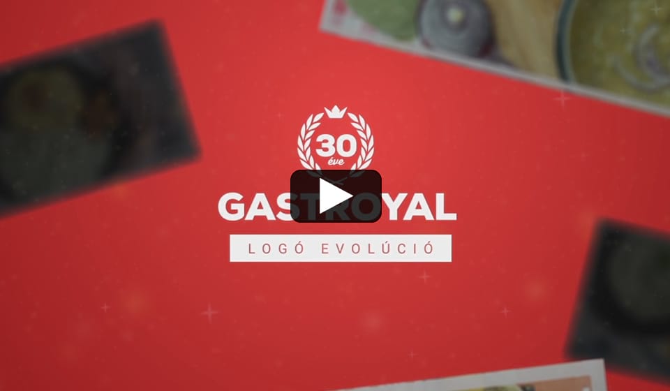 Logó Evolúció a 30 év alatt